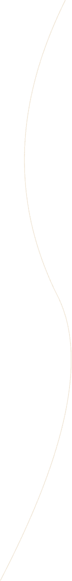 Timeline Curve